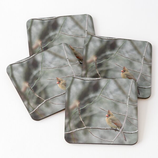 Item preview, A Cardinal on a Dreary Morning designed and sold by MrMartin0520.