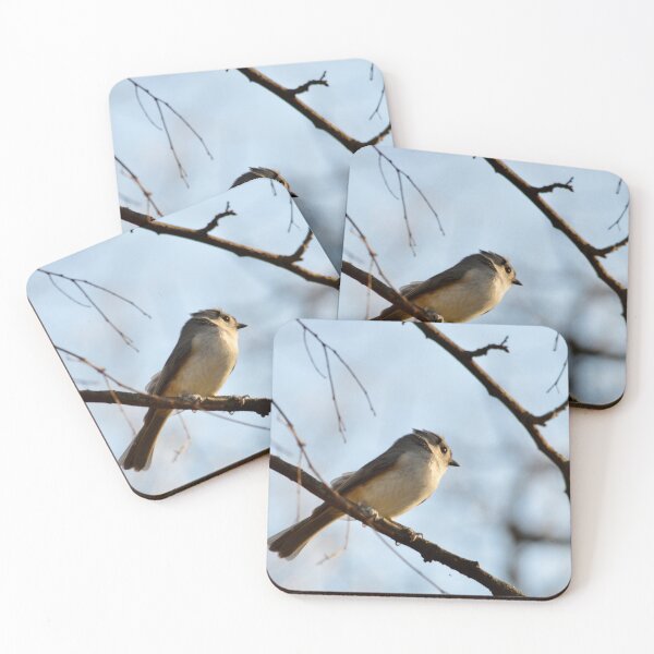 Item preview, A Tufted Titmouse Takes in His Surrounding  designed and sold by MrMartin0520.