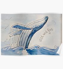Breaching humpback whale painting Poster