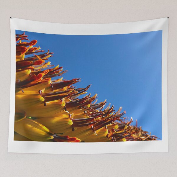 Item preview, Blooming Aloe Vera, Micro Capture - 7032 x 5274 px, 300 dpi designed and sold by Bruno Beach.