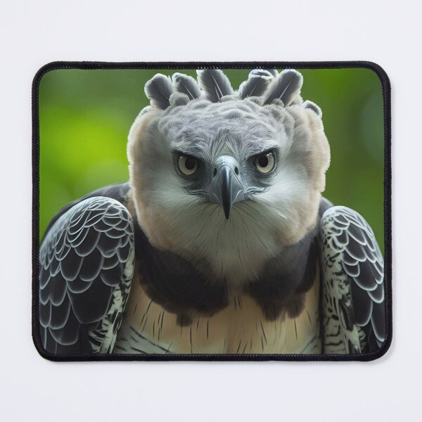 Item preview, Harpy Eagle Art #4 | Harpy Eagle Lovers designed and sold by ksgraphics222.