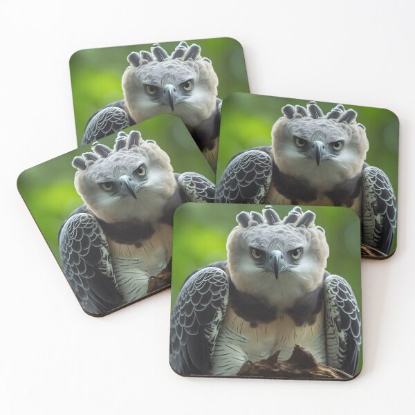 Item preview, Harpy Eagle Art #4 | Harpy Eagle Lovers designed and sold by ksgraphics222.
