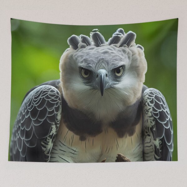 Item preview, Harpy Eagle Art #4 | Harpy Eagle Lovers designed and sold by ksgraphics222.