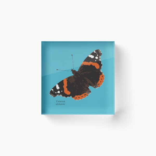 Item preview, Butterfly Vanessa atalanta designed and sold by WalkWiseDesign.