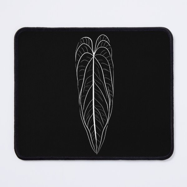 Item preview, Anthurium Warocqueanum White designed and sold by LouJah-.