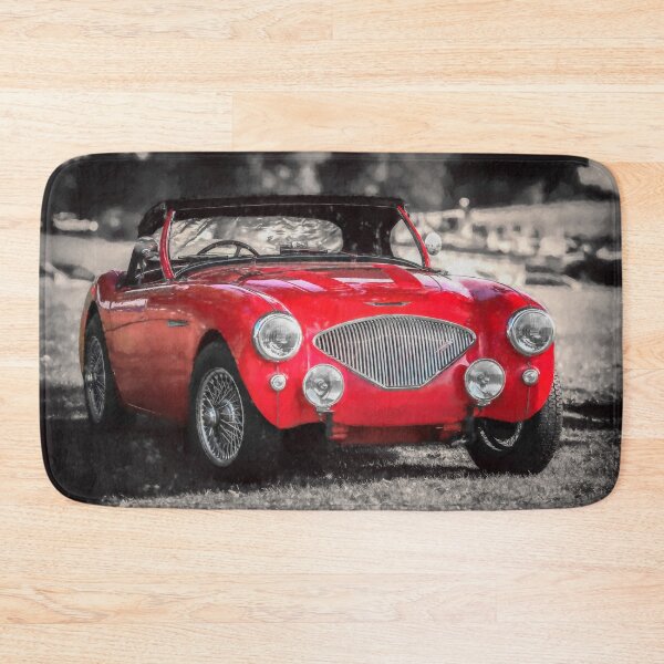 Artikelvorschau, Austin Healey 100 entworfen und verkauft von AJEvans.