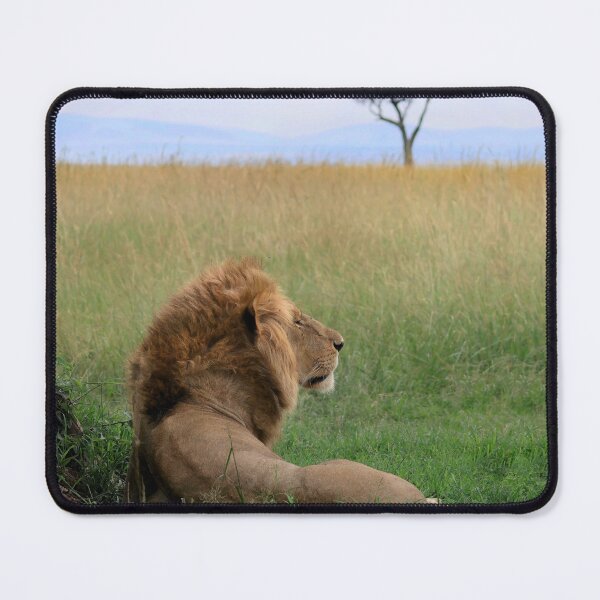 Item preview, lion designed and sold by Darren Quarin.