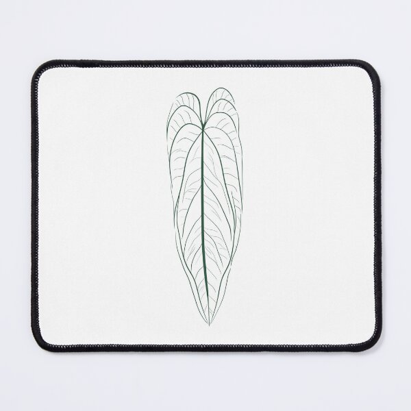 Item preview, Anthurium Warocqueanum Green  designed and sold by LouJah-.