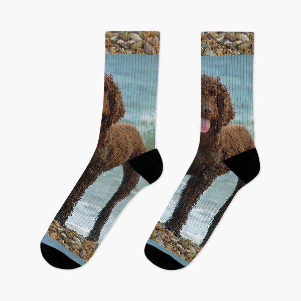 Item preview, Irish water spaniel enjoying the sea designed and sold by LorrieBee.