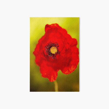 Poppy Art Board Print