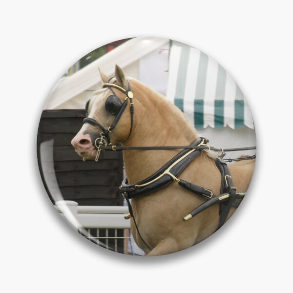 Item preview, Palomino stallion carriage driving class designed and sold by LorrieBee.