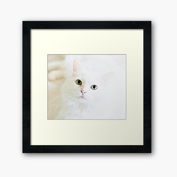 Item preview, A beautiful cat is looking at you designed and sold by Timoti-Shop.
