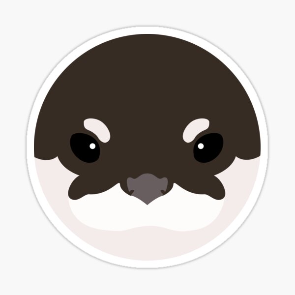 Asian Small-Clawed Otter Sticker
