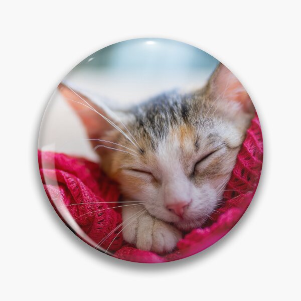 Item preview, Kiki the kitten and crochet designed and sold by Rescue-Cats.