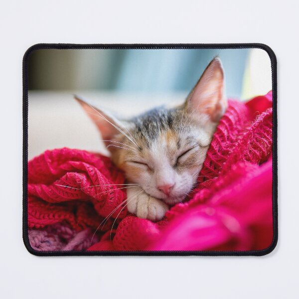 Item preview, Kiki the kitten and crochet designed and sold by Rescue-Cats.