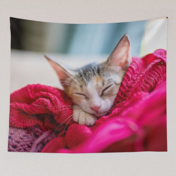 Item preview, Kiki the kitten and crochet designed and sold by Rescue-Cats.