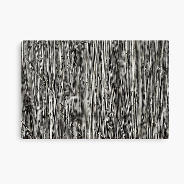 Regalos Y Productos Culmo Redbubble