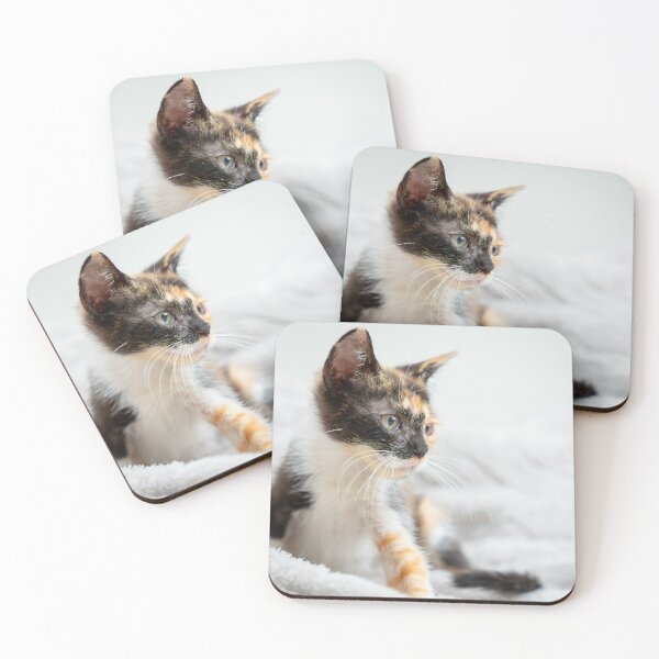 Item preview, Kaya the kitten on a blanket designed and sold by Rescue-Cats.