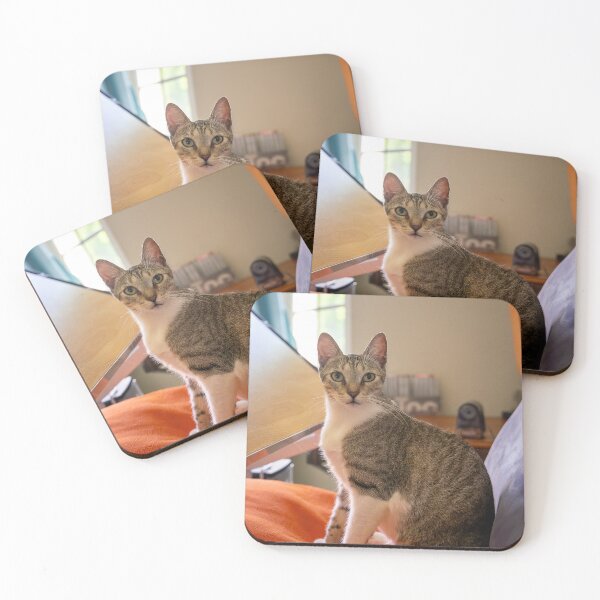 Item preview, Zoe the artist cat designed and sold by Rescue-Cats.