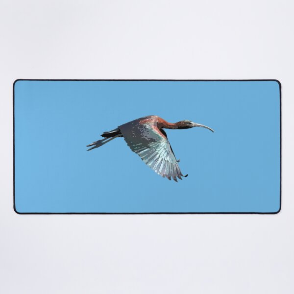 Item preview, Glossy Ibis Color Design  designed and sold by designsasstultd.