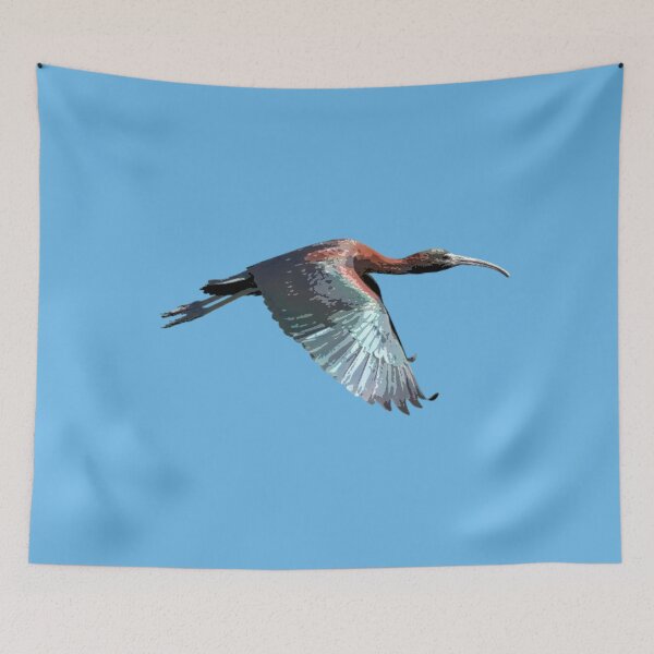 Item preview, Diseño de color Ibis brillante designed and sold by designsasstultd.