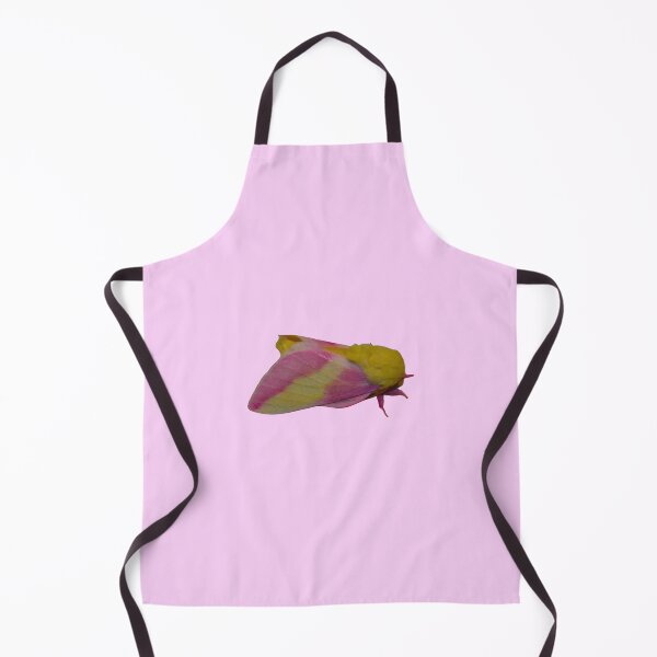 Item preview, Rosy Maple Moth (Dryocampa rubicunda) XL designed and sold by Entomologist.