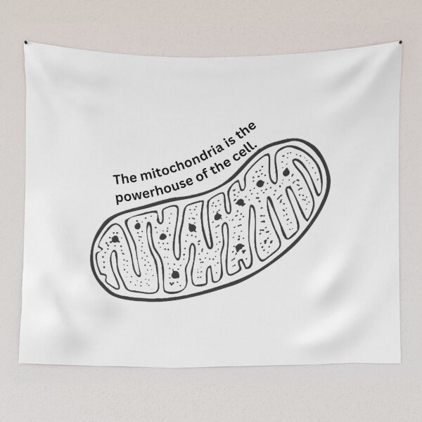 Item preview, Mitochondria designed and sold by STEMinistArtCo.