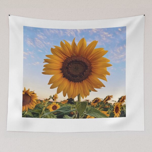 Item preview, Sunflower field with sunset  designed and sold by Creative-zone06.
