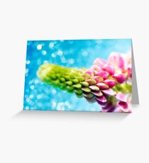 Pink Lupin Greeting Card