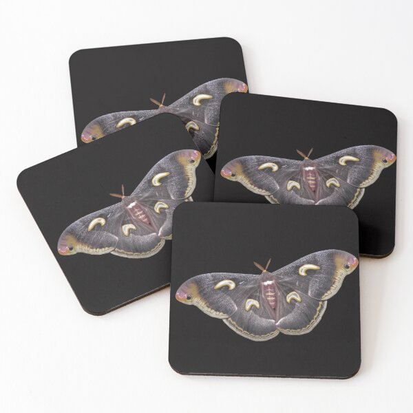 Item preview, Vacuna Epiphora: Emperador Lunar Oscuro designed and sold by Entomologist.