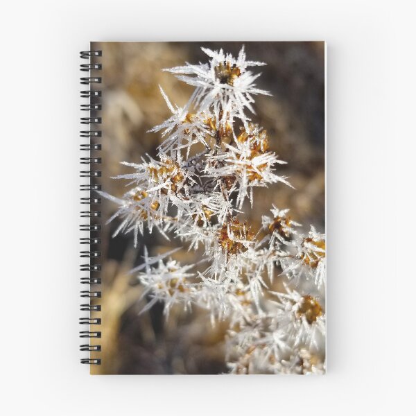 Item preview, Frost Burrs designed and sold by bjtomiko.