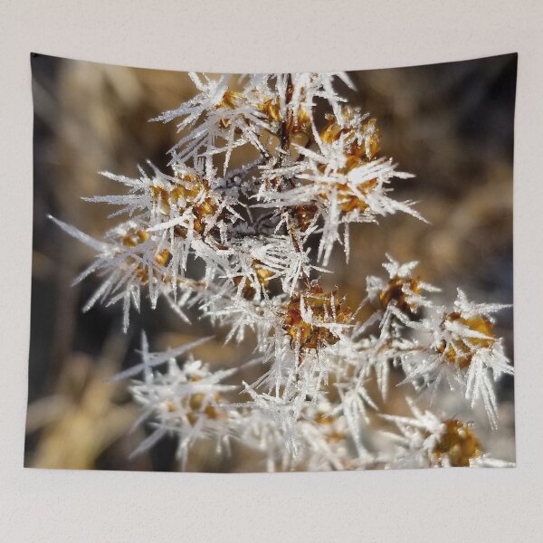 Item preview, Frost Burrs designed and sold by bjtomiko.