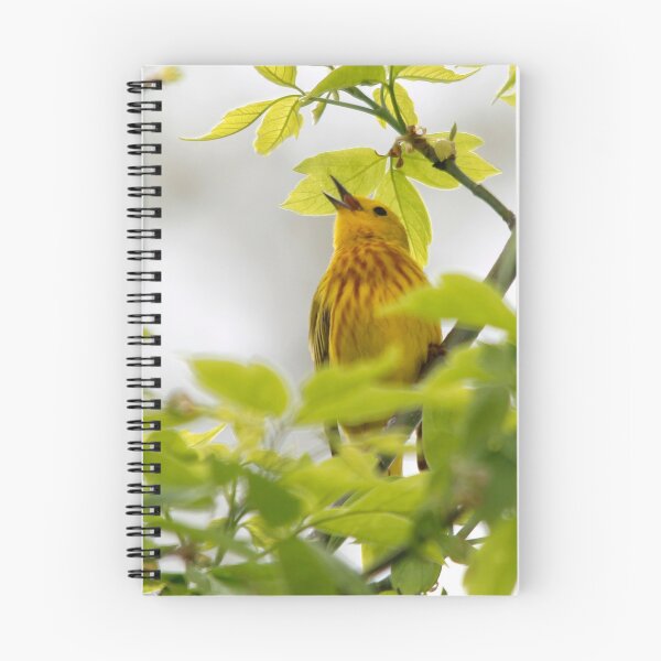 Item preview, Yellow Warbler Bird Singing designed and sold by Outside Your Box.