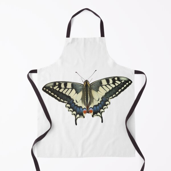 Item preview, Papilio machaon / Old world swallowtail by Bart Coppens designed and sold by Entomologist.