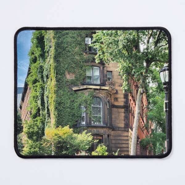 Item preview, Stuyvesant Street New York City designed and sold by pcole123.