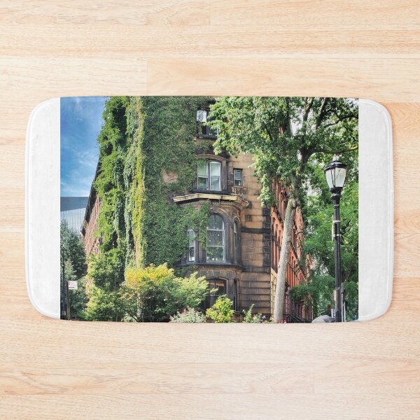 Item preview, Stuyvesant Street New York City designed and sold by pcole123.