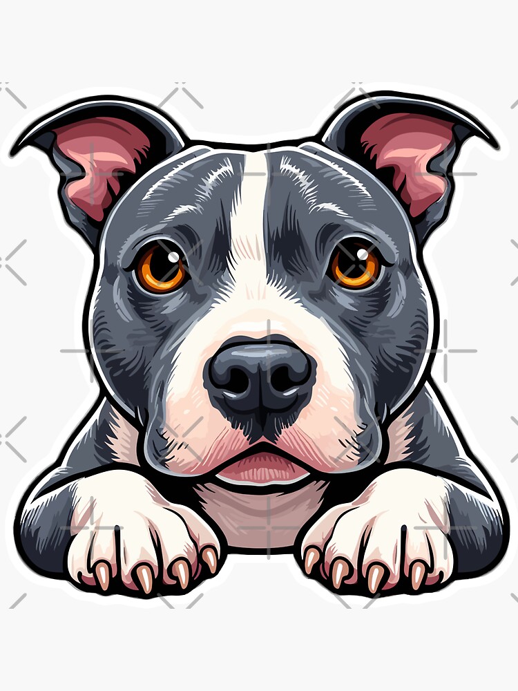 American Staffordshire Bull Terrier Staffy Apartment Staffy