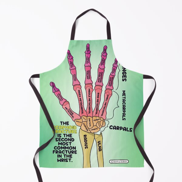 Item preview, Hand Anatomy designed and sold by Spunky Science.