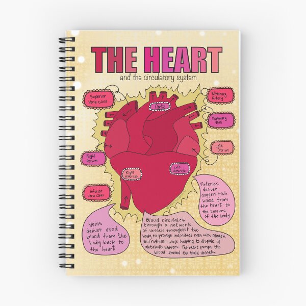 Item preview, Circulatory System designed and sold by Spunky Science.