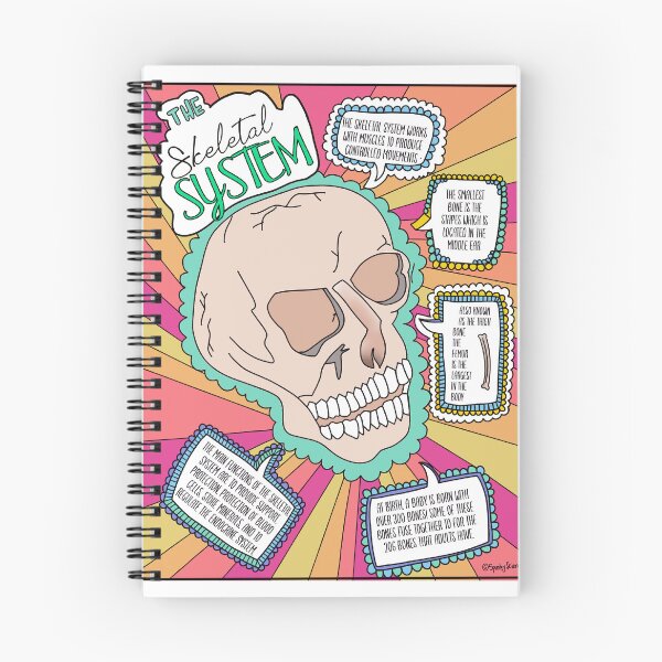 Item preview, Skeletal System designed and sold by Spunky Science.