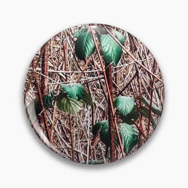 Item preview, Spring Break designed and sold by Steve Walser.