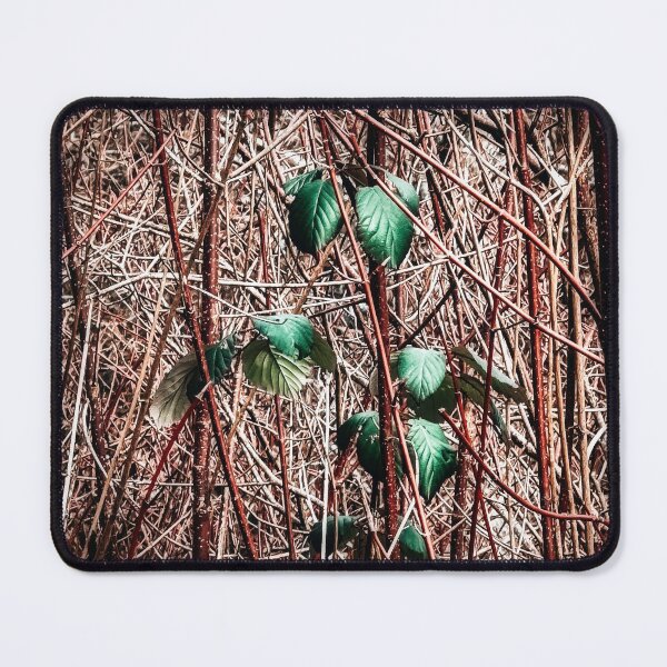 Item preview, Spring Break designed and sold by Steve Walser.