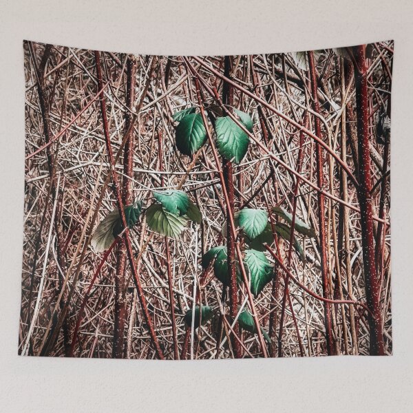 Item preview, Spring Break designed and sold by Steve Walser.