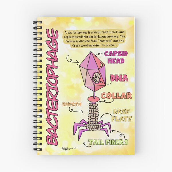 Item preview, Bacteriophage  designed and sold by Spunky Science.