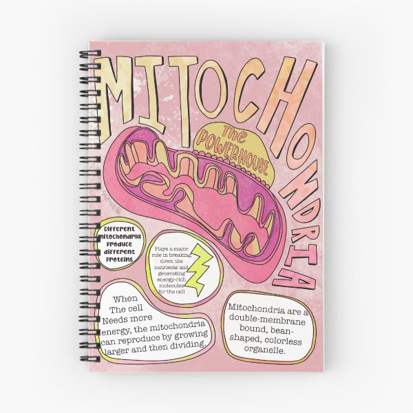 Artikelvorschau, Mitochondrien entworfen und verkauft von Spunky Science.