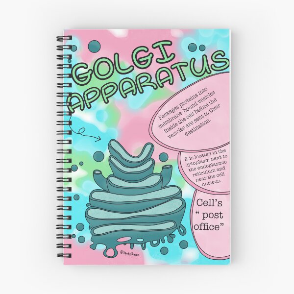 Item preview, Golgi Apparatus  designed and sold by Spunky Science.