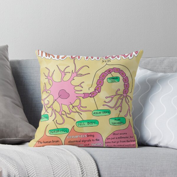 Item preview, Parts of a Neuron designed and sold by Spunky Science.