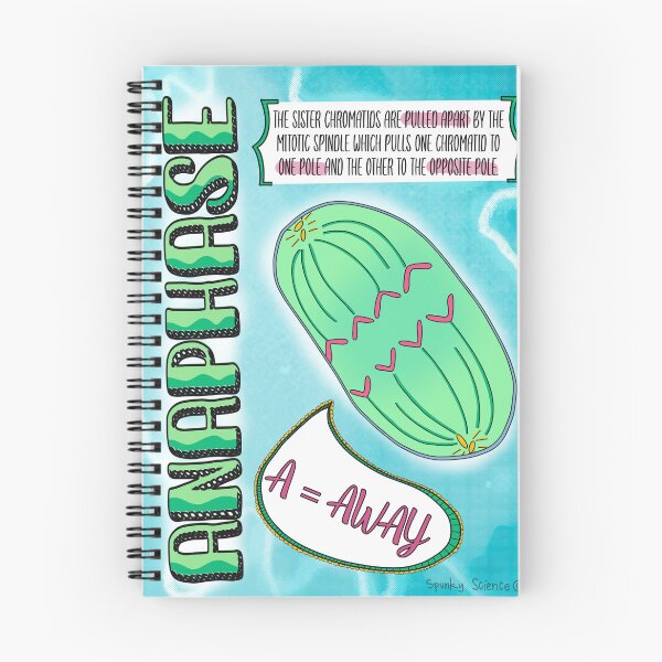 Artikelvorschau, Anaphase entworfen und verkauft von Spunky Science.
