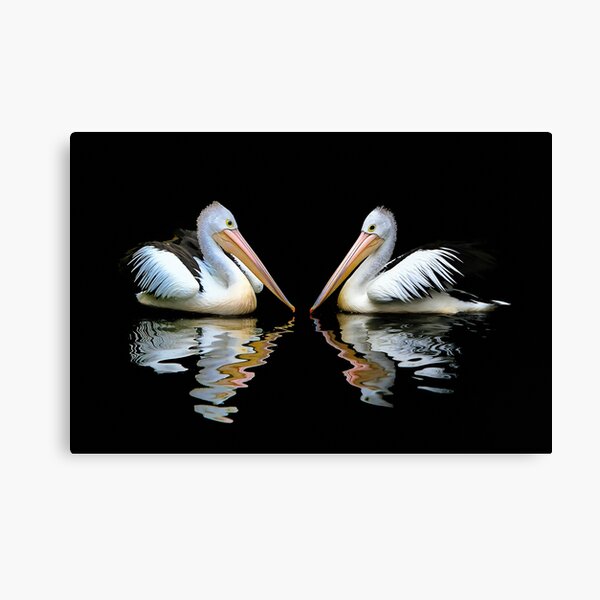 Item preview, A Pair of Australian Pelicans Floating designed and sold by Alaskandreamer.