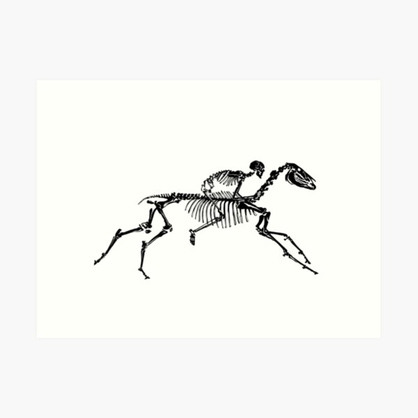 Horse Skeleton Art Print